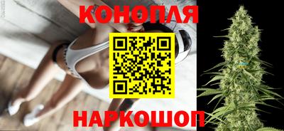 мяу мяу мука Кандалакша