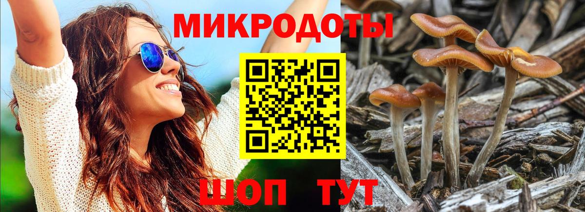 Кумертау  Псилоцибиновые грибы Psilocybine cubensis  Вход с VPN  Галлюциногенные грибы Psilocybe 